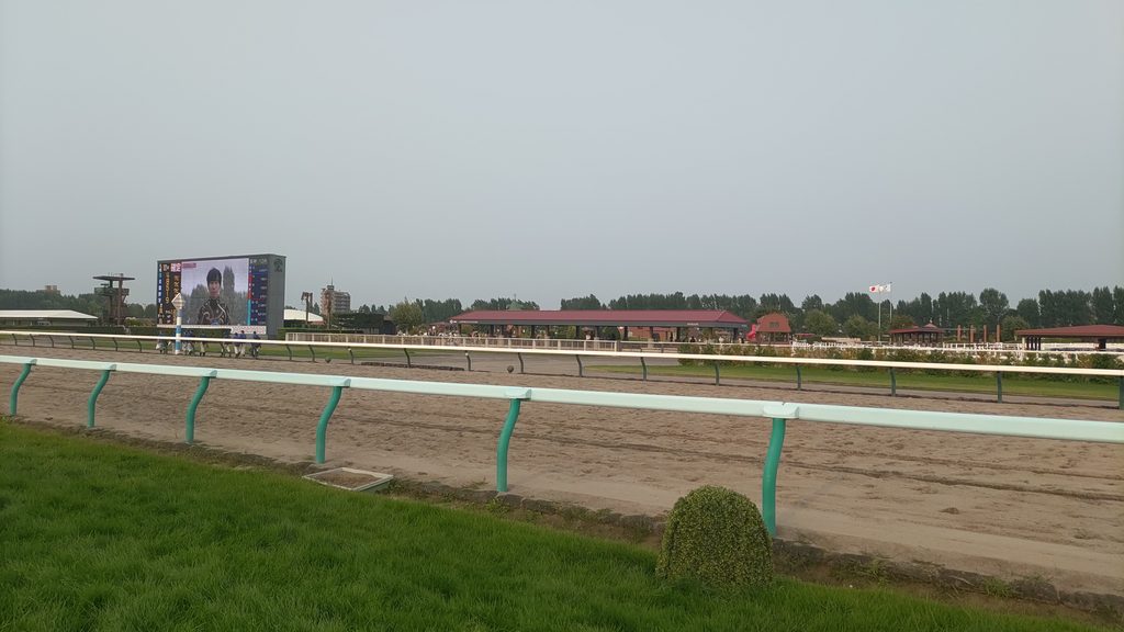 芝コース上から撮影した札幌競馬場のダートコース(2026年9月6日の最終日)