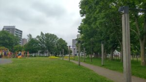 公園内の道路