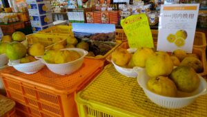 みきゃんパーク札幌の店内正面に並ぶ愛媛県産の柑橘類