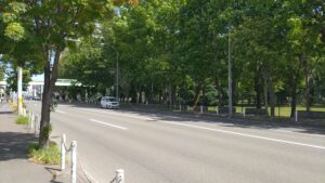 丘珠空港通と道路向かいのひのまる公園