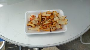 一和鮮魚店で購入した500円のイカ焼き。白い皿に焼いたイカがたっぷり盛られている